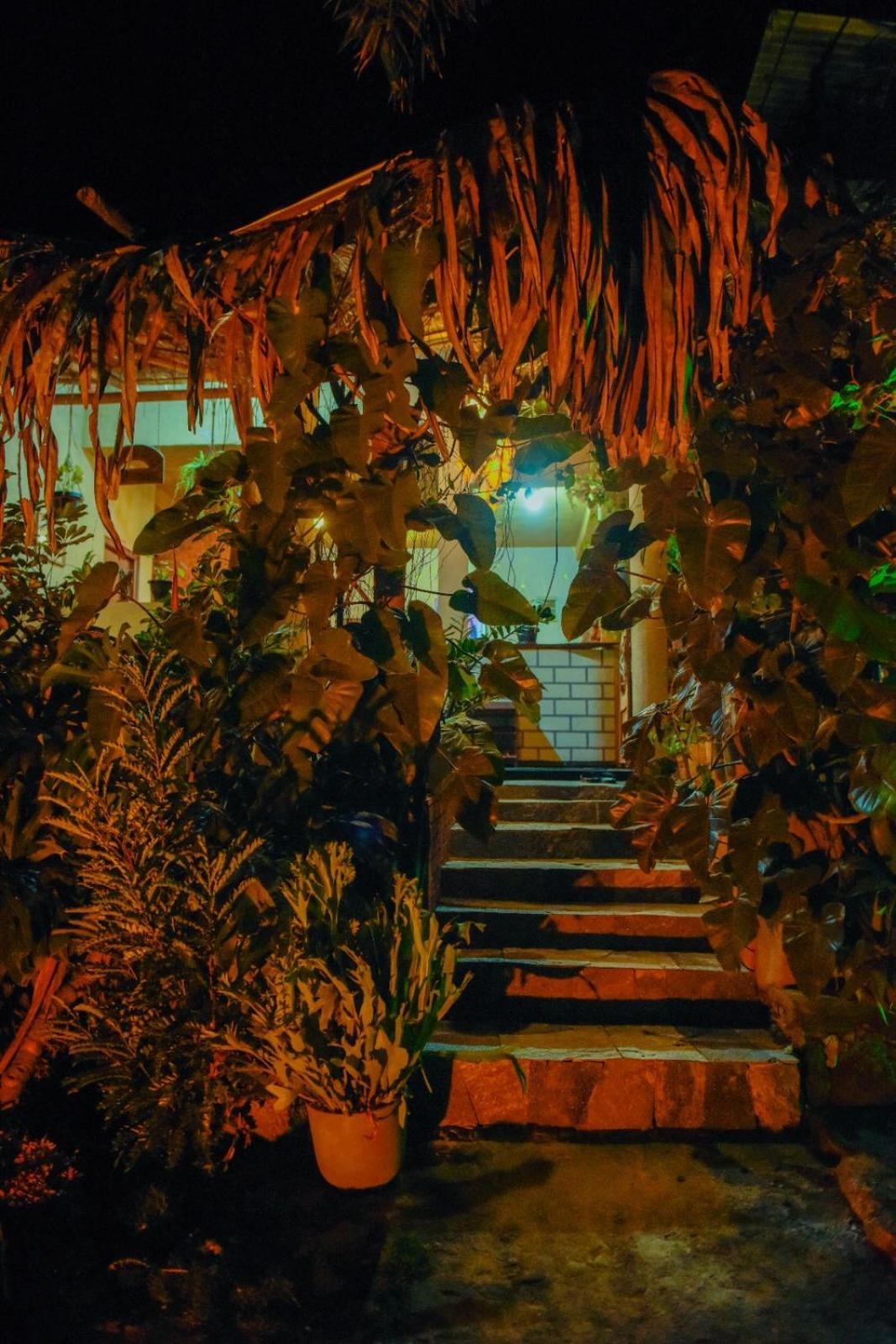 Ella Brown House Otel Dış mekan fotoğraf